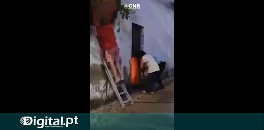 Militar da GNR resgata cão acorrentado de habitação em chamas em Cuba