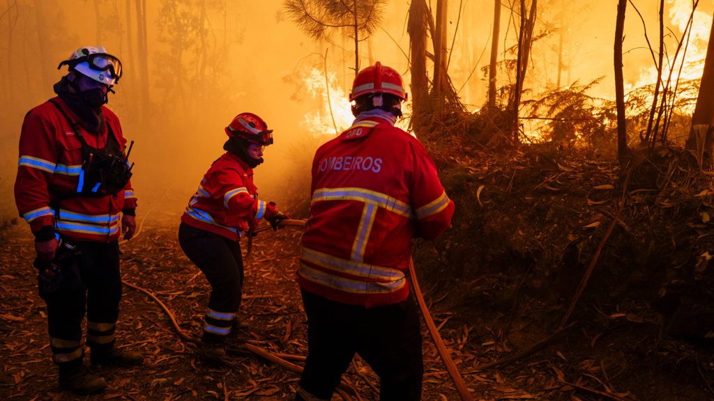 Incêndios de grande dimensão em Vila Real e Celorico de Basto mobilizam centenas de operacionais